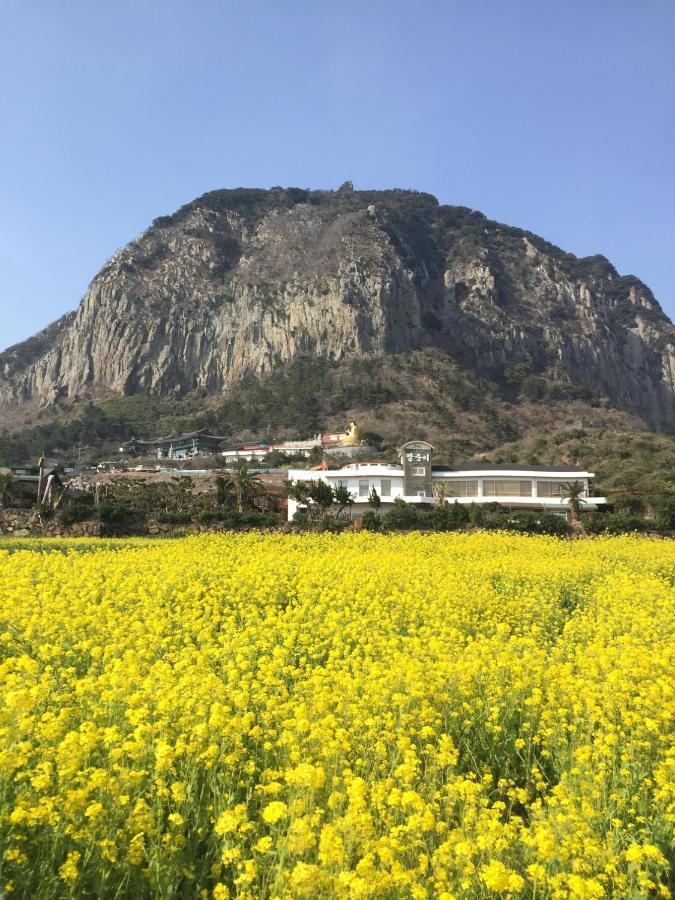 Jeju Moseulpo Hotel Σεογκουίπο Εξωτερικό φωτογραφία